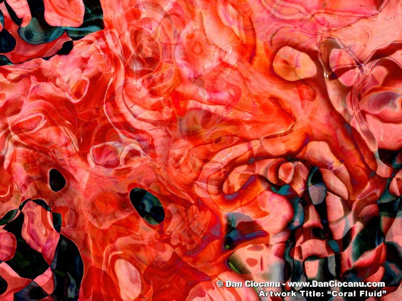 Coral Fluid - original modern artwork signed by Dan Ciocanu