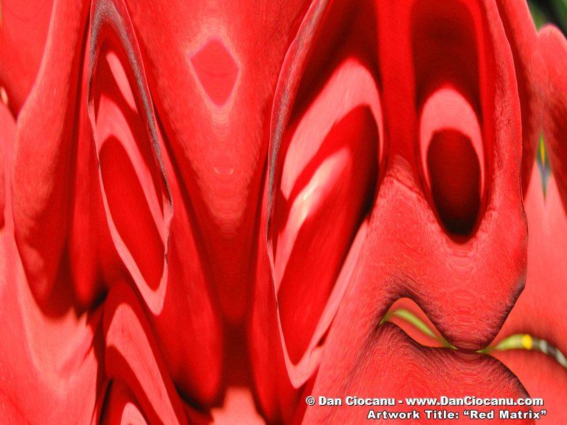 Red Matrix - signed abstract art by Dan Ciocanu
